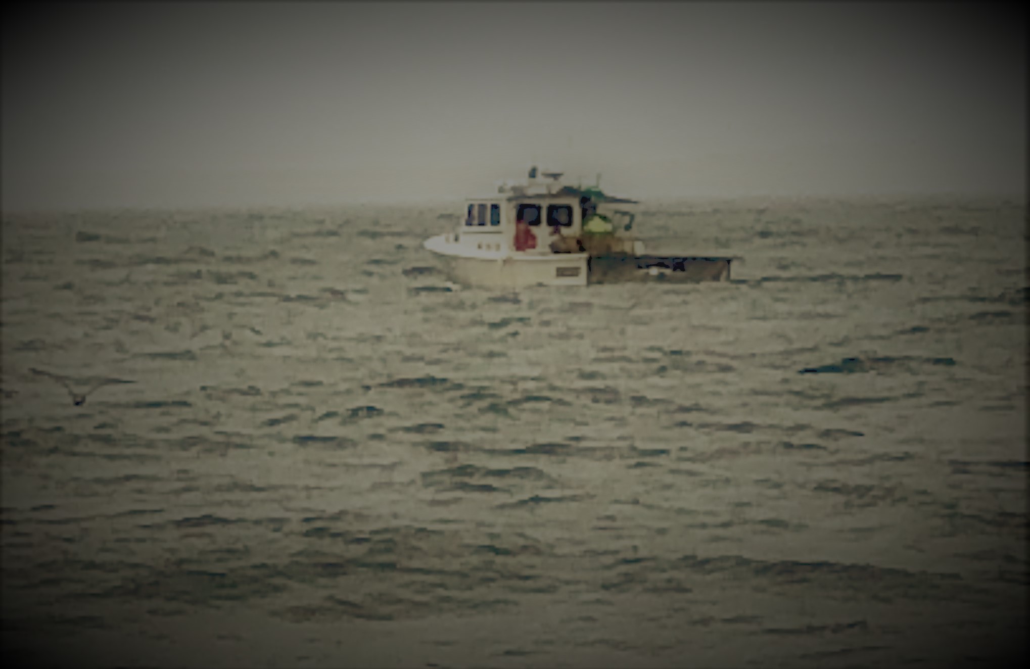 Lobster boat edited